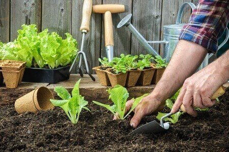 spring-planting-gardening-tools-garage-storage