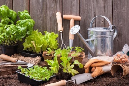 nuvo garage gardening tools garage storage solutions earth pots plants hand rake trowel slatwall organization system